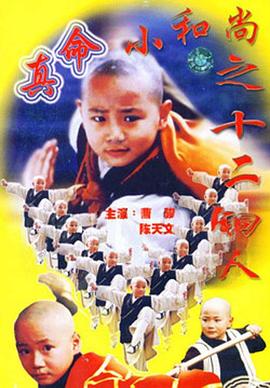 真命小和尚之十二铜人 第02集