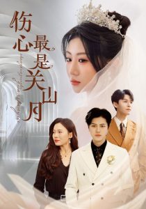 伤心最是关山月 全集(大结局)