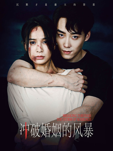 冲破婚姻的风暴 全集(大结局)