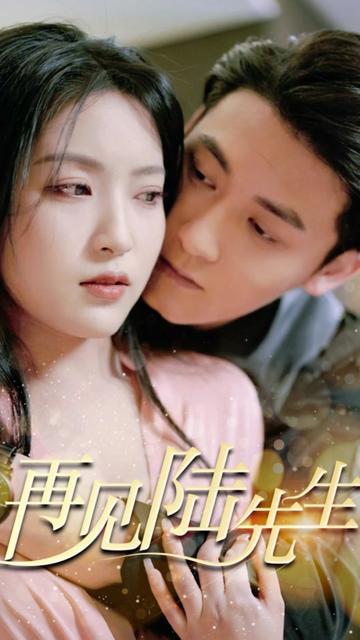 再见陆先生 全集(大结局)