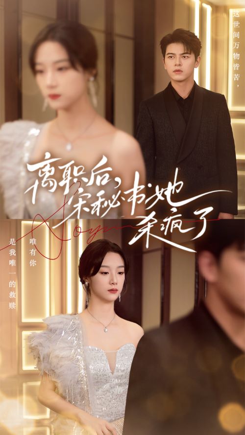 离职后，宋秘书她杀疯了 第32集