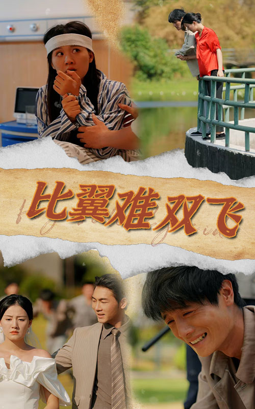 比翼难双飞 第05集