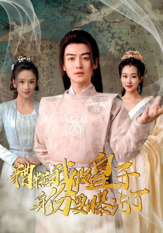 糟糕我假皇子的身份要曝光了 全集(大结局)