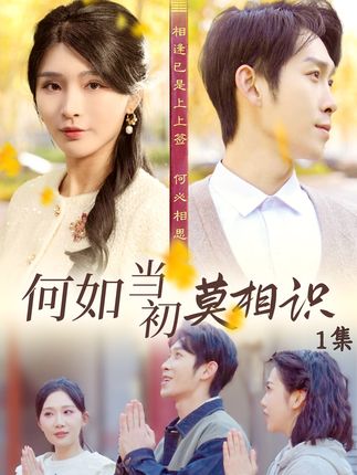 何如当初莫相识 第01集