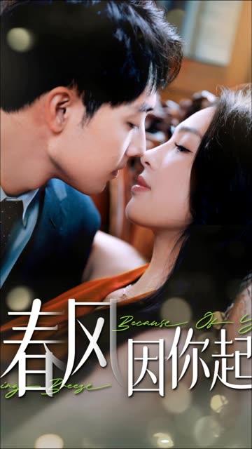 春风因你起 全集(大结局)
