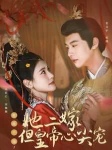 惹她干嘛，她二嫁但皇帝心尖宠 全集(大结局)