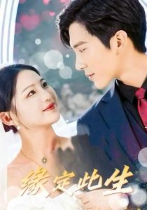 缘定此生 全集(大结局)