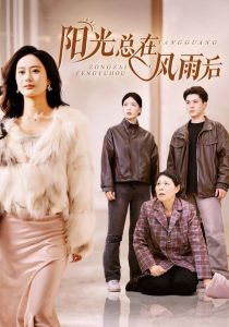 阳光总在风雨后短剧 全集(大结局)